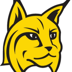 TRẠM TRỘN BÊ TÔNG DI ĐỘNG BAY-LYNX